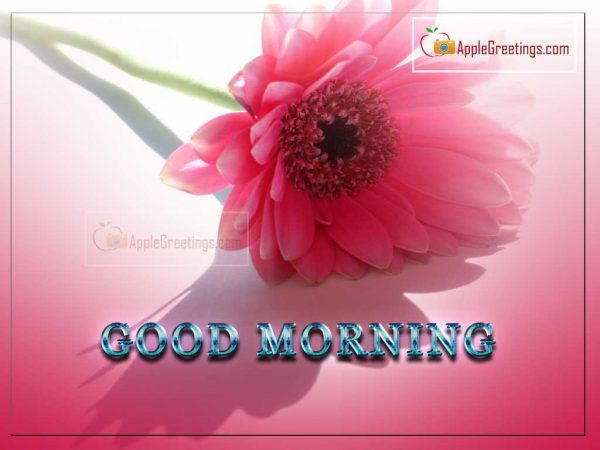 Happy Good Morning Greeting Cards Images For Share Your Good Wishes With Friends (Image No : J-428-2)