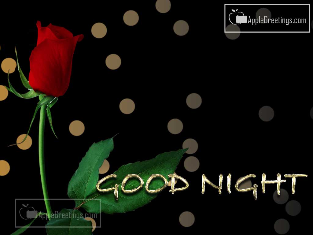Special Good Night Wishes Greetings Pictures For Share In Facebook (Image No : J-470-1)