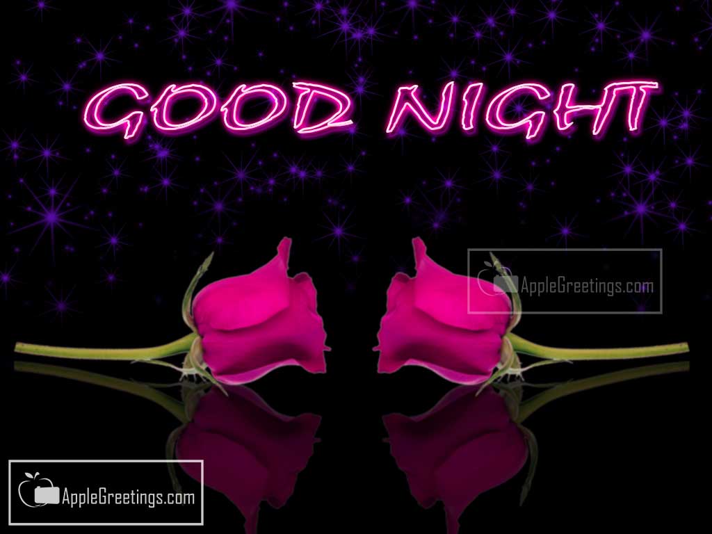 Download And Share Cute Images To Say Good Night To All (Image No : J-471-1)