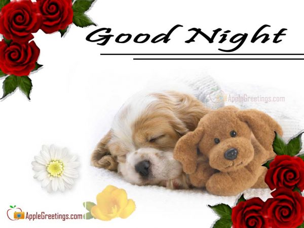 Good Night Sweet Dreams Greetings Images New (Image No : J-487-1)