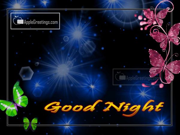 Lovely Wishes Greetings With Good Night Wishes For Wishing Everyone (Image No : J-488-1)