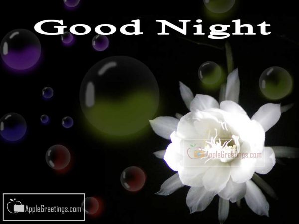 Greetings And Images For Sharing Good Night Wishes In Whatsapp (Image No : J-502-1)