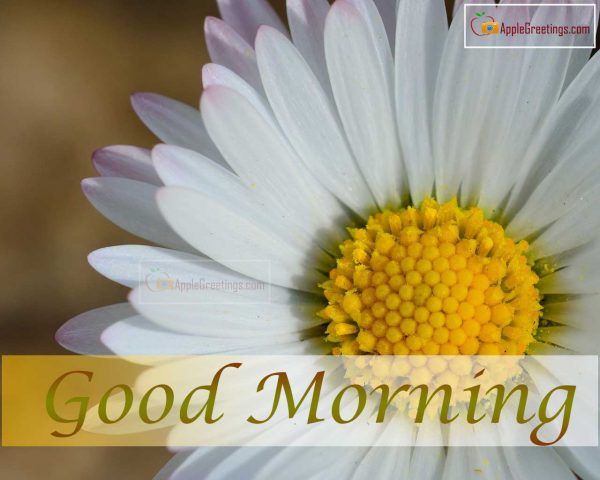 Nice Good Morning Wishes Images And Greetings For Facebook (Image No : J-62-2)