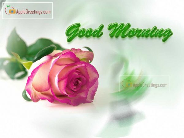 Happy Wishes Images To Say Good Morning To Everyone (Image No : J-76-1)