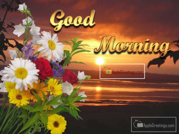 Best Facebook And Whatsapp Share Wishes Greetings Of Good Morning Images (Image No : T-155-2)