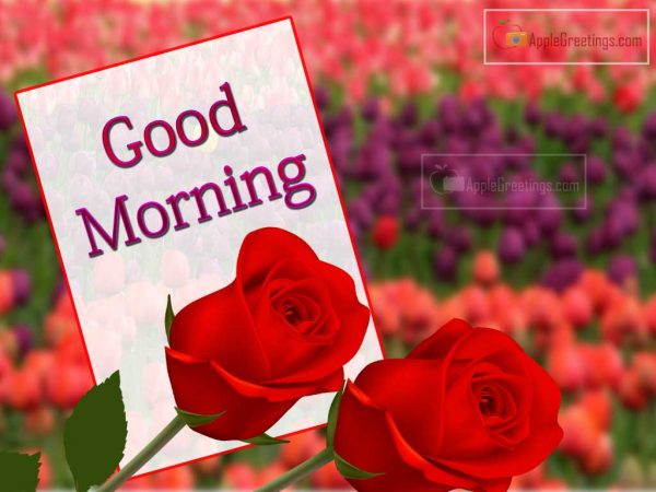 A Sweet Good Morning Wishes Images With Flowers Photos (Image No : T-88-2)