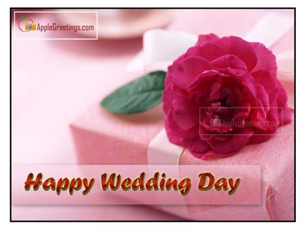 Latest Wedding Day Wish Gifts Images And Marriage Anniversary Best Wishes Greetings (Image No : J-663-2)